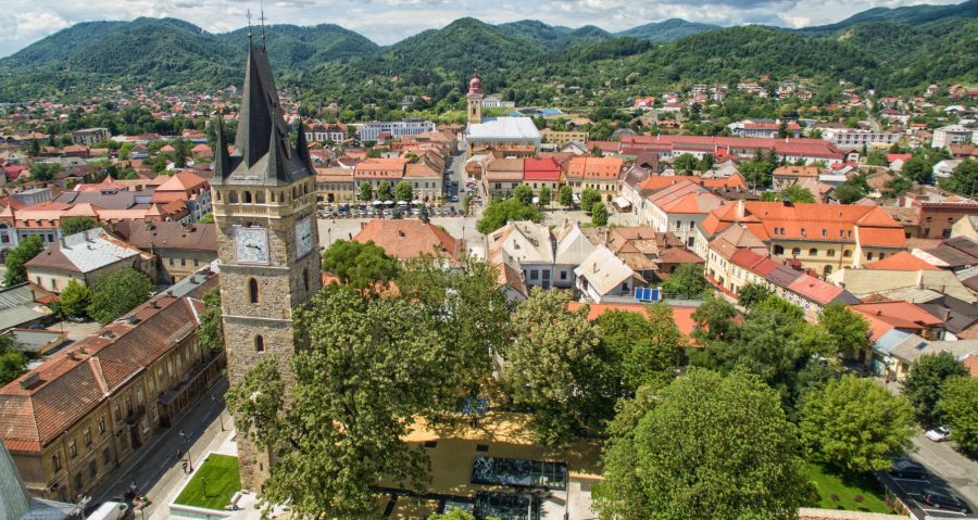 Acțiune de dezinsecție în Baia Mare
