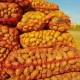 Ajutor de stat pentru producătorii de cartofi