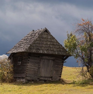 Streetphotography, cursuri pentru pasionații de arta fotografiei cu Silviu Gheție