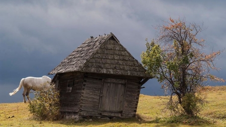Streetphotography, cursuri pentru pasionații de arta fotografiei cu Silviu Gheție