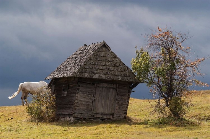 Streetphotography, cursuri pentru pasionații de arta fotografiei cu Silviu Gheție