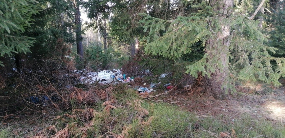 Obligațiile proprietarilor de terenuri, anunțate de Garda de Mediu