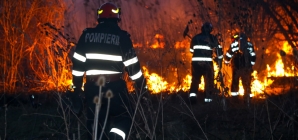 Pompierii atrag atenția asupra riscului de incendii forestiere. În curând începe „sezonul” lor