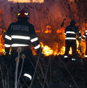 Pompierii atrag atenția asupra riscului de incendii forestiere. În curând începe „sezonul” lor