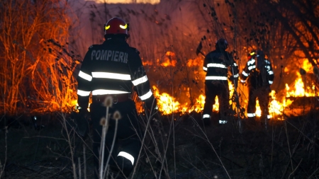 Pompierii atrag atenția asupra riscului de incendii forestiere. În curând începe „sezonul” lor