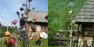 De ce pun maramureșenii oale în copac