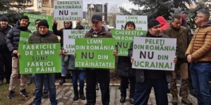 În Baia Mare – protestul lucrătorilor din industria lemnului