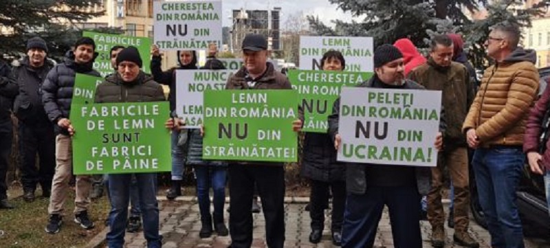 În Baia Mare – protestul lucrătorilor din industria lemnului
