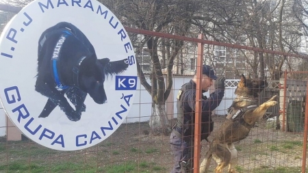 Eficiență maximă pentru Grupa Canină din cadrul IPJ Maramureș