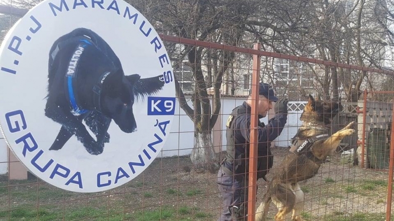 Eficiență maximă pentru Grupa Canină din cadrul IPJ Maramureș