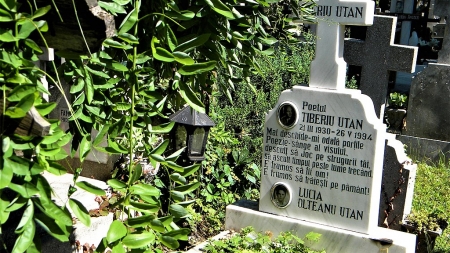 Personalități maramureșene de ieri și de azi, născute în luna martie