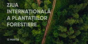 13 martie-Ziua Internațională a Plantațiilor Forestiere