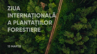 13 martie-Ziua Internațională a Plantațiilor Forestiere