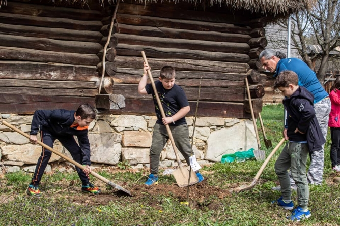 Muzeului Satului din Baia Mare organizează o nouă ediție a manifestării “Plantează o floare, sădește un pom, fă-ți datoria de om…”
