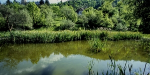 Proiect-pilot pentru biodiversitate în Maramureș