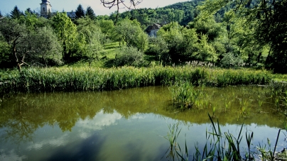 Proiect-pilot pentru biodiversitate în Maramureș