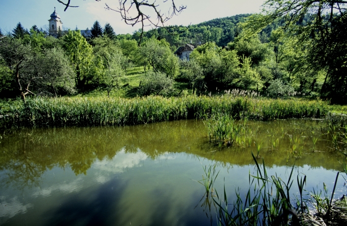 Proiect-pilot pentru biodiversitate în Maramureș