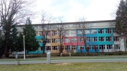 Premii remarcabile pentru elevii Colegiului de Arte din Baia Mare la Concursul de Interpretare Muzicală „Transilvania”