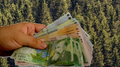 Compensații de la stat pentru românii care dețin păduri