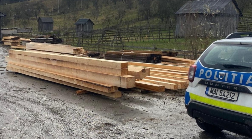 481 de sancțiuni aplicate și aproximativ 500 mc material lemnos confiscat în doar două zile