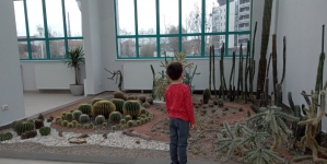 De vizitat: Expoziția de cactuși a lui Gheza Vida din Parcul Central Baia Mare