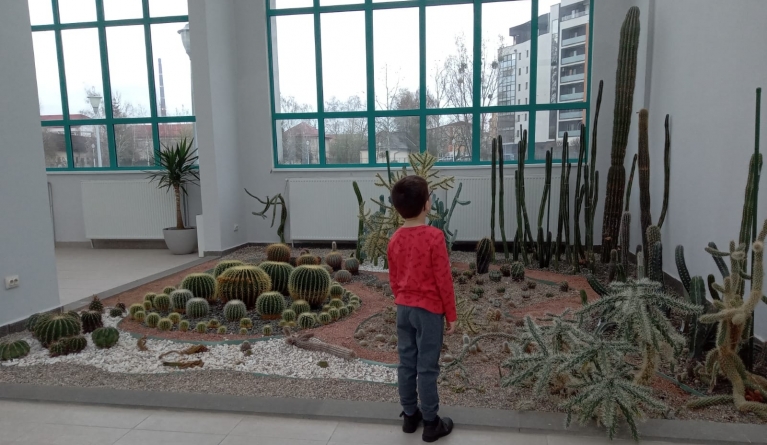 De vizitat: Expoziția de cactuși a lui Gheza Vida din Parcul Central Baia Mare