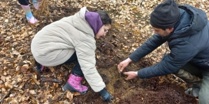 Elevi ai Școlii Gimnaziale ”Lucian Blaga” din Baia Mare, acțiune de plantare de puieți forestieri la Firiza