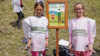 Școlile maramureșene pot primi 100 de puieți pentru plantare fiecare în cadrul acțiunii echipei de la Asociația ”Plantează în România”