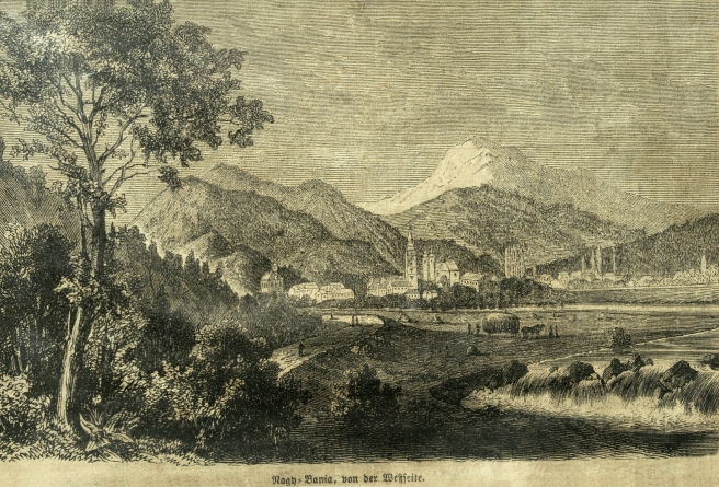 Rivulus Dominarum – secvențe istorice, vestigii și mărturii medievale. Societate și civilizație urbană (VI)