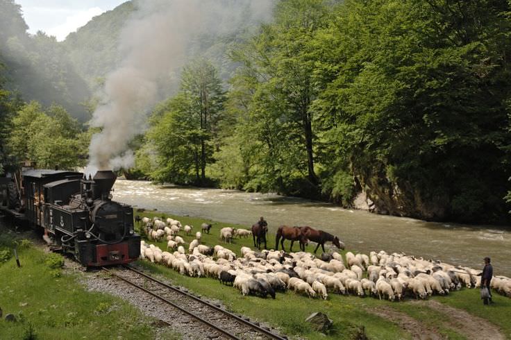 Un savant japonez a fost fascinat de tot ceea ce înseamnă Maramureș