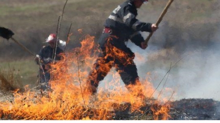 Incendiu de vegetație în Poienile de sub Munte