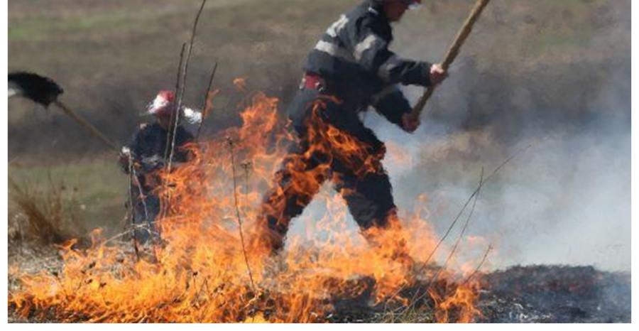 Incendiu de vegetație în Poienile de sub Munte