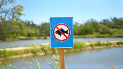 Orice formă de pescuit va fi interzisă pe o perioadă de 60 de zile