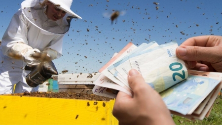 Apicultorii primesc ajutor de la stat