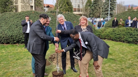 Hub-ul YMCA din România, în Baia Mare