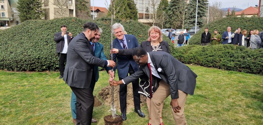 Hub-ul YMCA din România, în Baia Mare