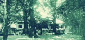 „Priviri” din orașul Baia Mare (XII). Parcul Municipal „Regina Maria” în anii 1900-1940.