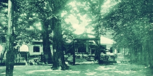 „Priviri” din orașul Baia Mare (XII). Parcul Municipal „Regina Maria” în anii 1900-1940.