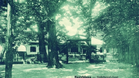 „Priviri” din orașul Baia Mare (XII). Parcul Municipal „Regina Maria” în anii 1900-1940.