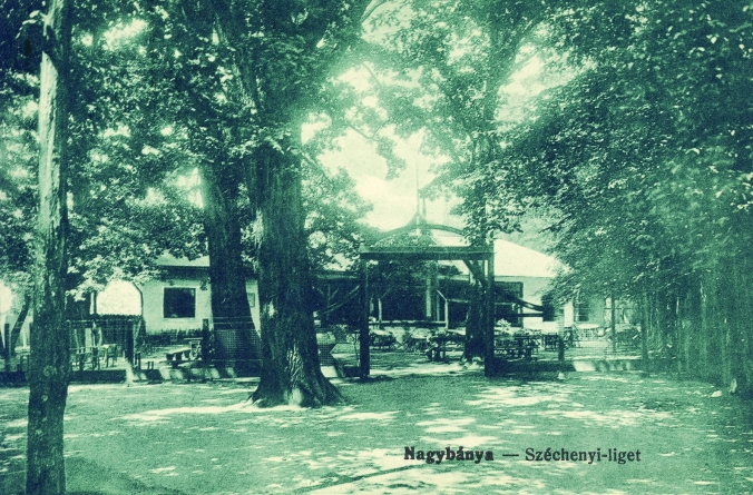 „Priviri” din orașul Baia Mare (XII). Parcul Municipal „Regina Maria” în anii 1900-1940.