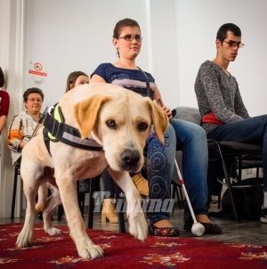 Noi drepturi pentru persoanele cu dizabilități