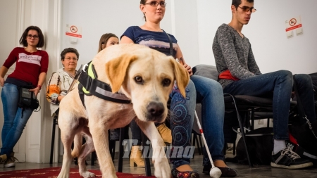 Noi drepturi pentru persoanele cu dizabilități