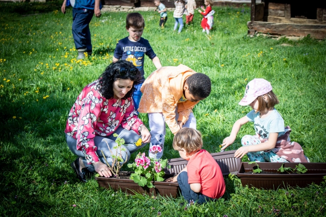 Micuții de la Grădinița nr. 13 din Baia Mare au plantat flori la Muzeul Satului