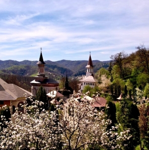 Programul liturgic în duminica a patra din Postul Paștilor la Mănăstirea Rohia