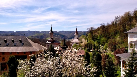 Programul liturgic în duminica a patra din Postul Paștilor la Mănăstirea Rohia