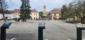 Inedit: 40 de lucrări ale artiștilor din Școala Băimăreană de Pictură sunt amplasate în mai multe locuri din Baia Mare