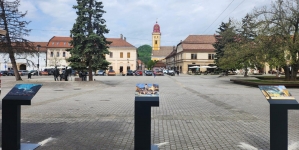 Inedit: 40 de lucrări ale artiștilor din Școala Băimăreană de Pictură sunt amplasate în mai multe locuri din Baia Mare