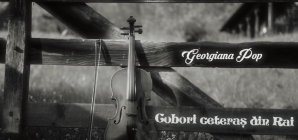 „Cobori ceteraș din Rai” – un cântec emoționant realizat în memoria lui Gabi Stângău