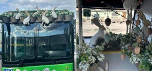 Autobuzul iepurașului circulă prin Sighetu Marmației