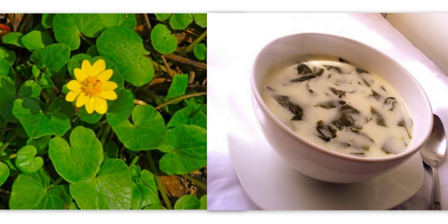 Ciorba de sălătucă de la Băiuț – o tradiție din darurile naturii